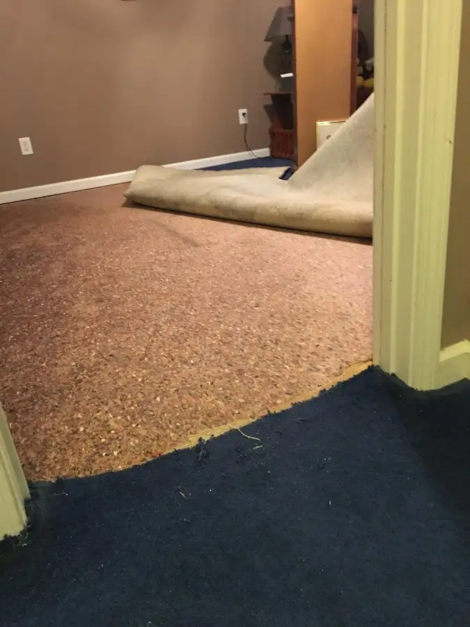 Carpet pad removal revealing water damage during Water Mitigation Services in Holly Hill