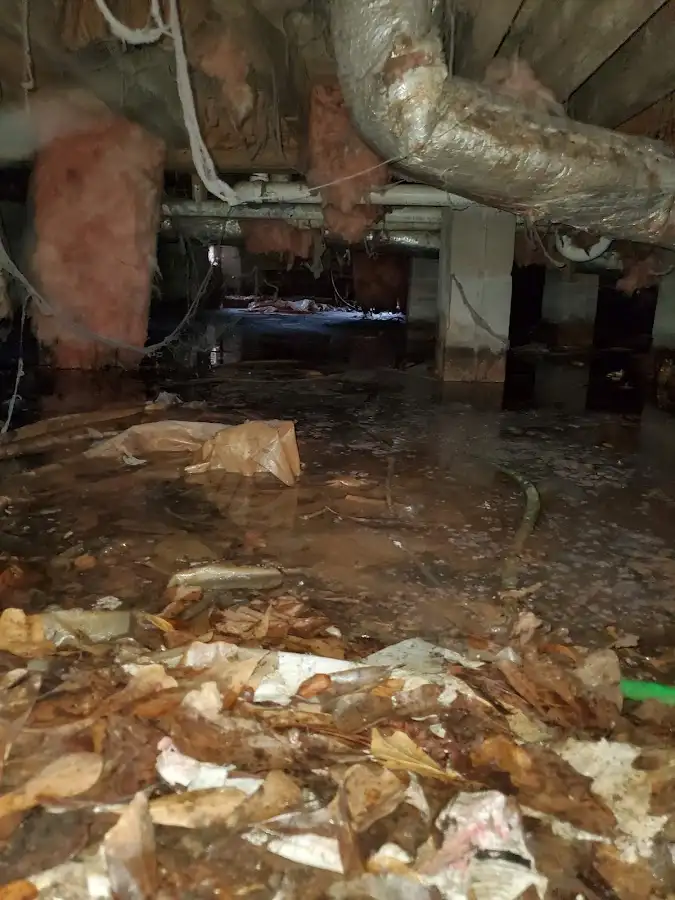 Crawl space flood assessment for Leak Detection & Repair in Holly Hill