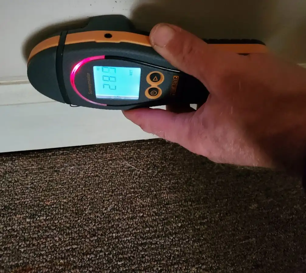 Moisture detection at baseboard during Burst Pipe Cleanup in Holly Hill